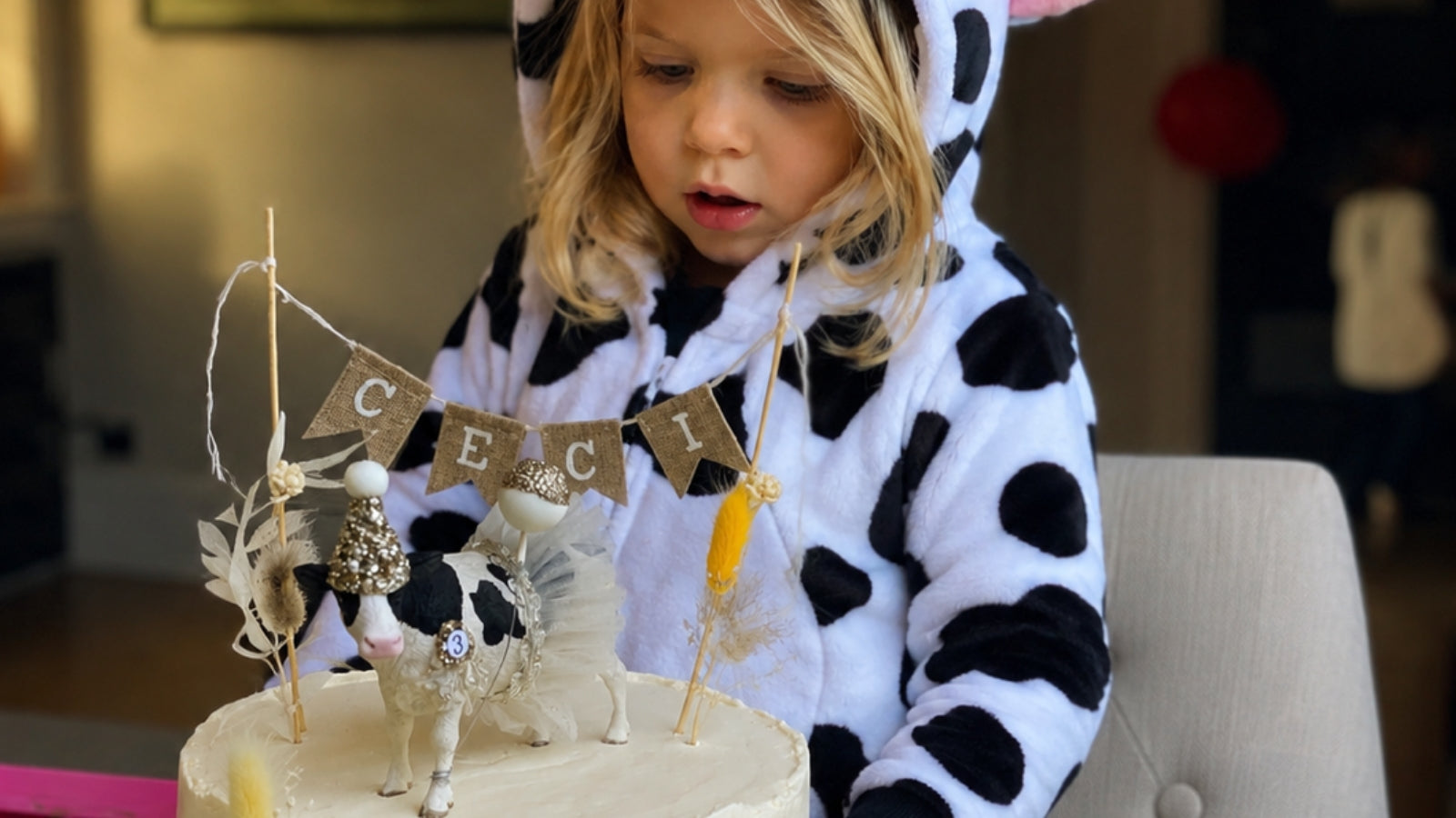 Birthday Onesies