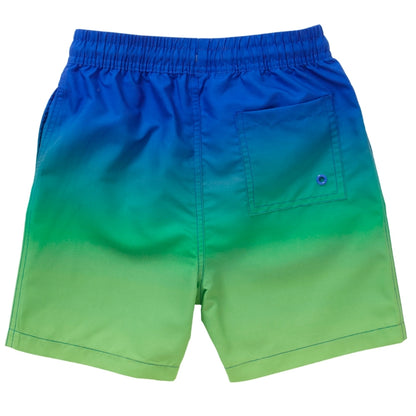 Boys Ombre Board Shorts